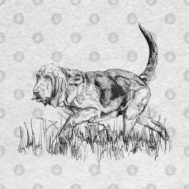 Bloodhound Ink Drawing by Fireside Press
